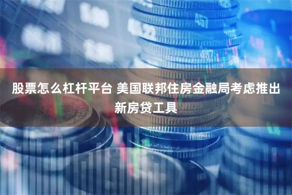 股票怎么杠杆平台 美国联邦住房金融局考虑推出新房贷工具