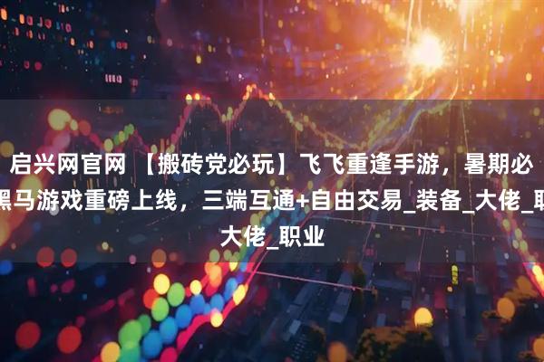 启兴网官网 【搬砖党必玩】飞飞重逢手游，暑期必玩黑马游戏重磅上线，三端互通+自由交易_装备_大佬_职业