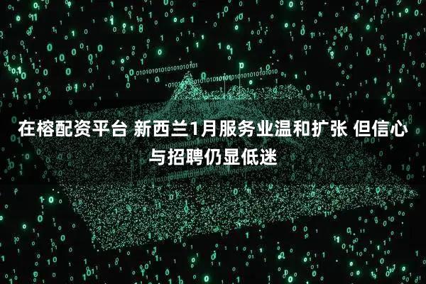 在榕配资平台 新西兰1月服务业温和扩张 但信心与招聘仍显低迷